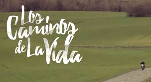 Los caminos de la vida letra. Los Caminos De La Vida Somos Pacientes
