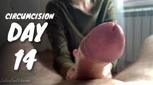 Circumcision Day 14 - first Teasing Handjob - Pornhub.com