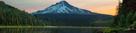Tailored brands emerges from bankruptcy. Rebekah Minsent Emba Sr Product Manager Store Systems Tailored Brands Inc Linkedin