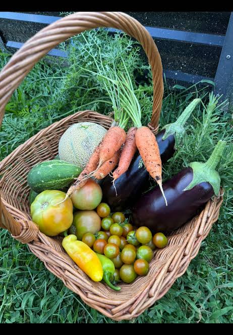 Shoolagiri Vegetable Mandi