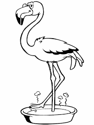 Flamingo Ausmalbilder Malvorlagen 100 Kostenlos