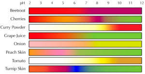 Natural Indicators Around Us Introduction Experiment