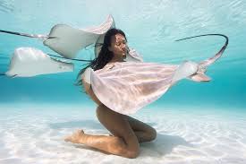 Pin On Water And Sea Creature S