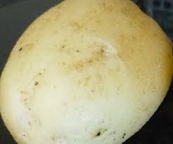 Best Potatoes For Chips Cookuk Recipes