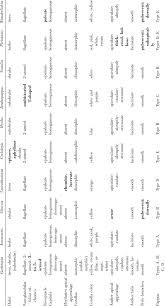 Image result for Pleiotaxis argentea