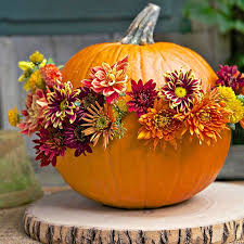 33 Creative Pumpkin Carving Ideas And Designs Pumpkin Carving Fall Thanksgiving Pumpkin