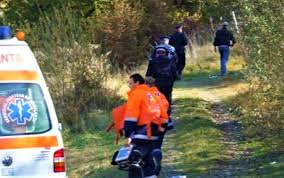 Violență In Pădure șeful De Canton și șeful De District Al Unei Subunități A Direcției Silvice Mureș L Au Bătut Cu Violență Pe Cel Venit Să I Controleze Msnews