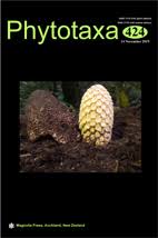 Image result for Coccinia subsessiliflora