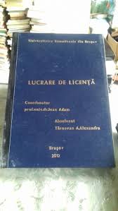 Acest lucru a permis intreprinderilor mici si mijlocii sa concureze acum gigantii industriei. Ipoteca Lucrare De Licenta Tarnovan A Alexandra