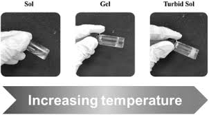 Check out our lingam selection for the very best in unique or custom, handmade pieces from our rocks & geodes shops. New Poly R 3 Hydroxybutyrate Co 4 Hydroxybutyrate P3hb4hb Based Thermogels Wee 2017 Macromolecular Chemistry And Physics Wiley Online Library