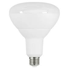 Shop Goodlite Led 17 Watt 120 Watt Equivalent 1500 Lumen Br40 Dimmable Flood Light Recessed Light Bulb Pack Of 10 On Sale Overstock 10569962