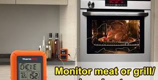 Ultimate Food Thermometer Probe Safety Guides Thermopro