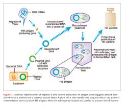 Vaccine production technique, growing the microorganisms in maximum titre. Creating Vaccines Drop By Drop Drug Discovery World Ddw