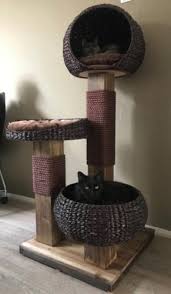 Arbre A Chat Bois Massif En Jacinthe Arbre A Chat Arbres A Chat Maison Maison Toilette Chat