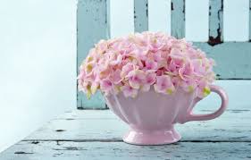 Free hd wallpapers fitted for iphone 5 screen resolution. Wallpaper Flowers Background Pink Widescreen Wallpaper Wallpaper Flowers Widescreen Flowers Background Full Screen Hd Wallpapers Vase Widescreen Fullscreen Images For Desktop Section Cvety Download