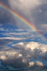 Check spelling or type a new query. Rainbow Bridge Poems Prayers Stories