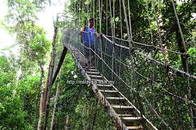 The canopy walk is closed every friday for maintenance but frustratingly, they closed again after 30 minutes light rain in the early afternoon. Canopy Walk In Taman Negara Travel Food Lifestyle Blog
