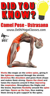 Pin On Yoga Classes Near Me