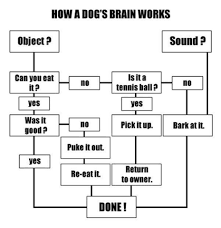 A Nother Final Flow Chart Example Social Psychology