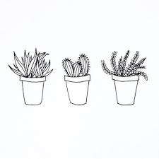 Aesthetic Black And White Cactus Drawing Related Image Plant Doodle Plant Drawing Tumblr Drawings