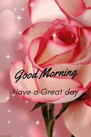 Good Morning Have A Great Day With Beautiful Pink Rose Goodmorningquotesforhim Good Morning Flowers Good Morning Greetings Good Morning Roses