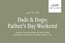 DAD’S & DOGS
