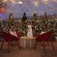 Desert Farm Lights - Tuesday - 12/10/2024