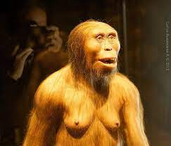 Lucy The Beginnings Of Humankind Anthropology Family Tree Historical Pictures