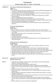 Financial Professional Resume Samples Velvet Jobs