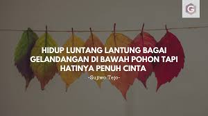 Sujiwo tejo juga kerap kali menulis, melukis memusik dan bahkan disebut dengan seorang budayawan. 15 Kata Kata Bijak Tentang Pohon Untuk Hidup Lebih Bermakna