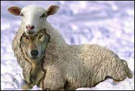 We did not find results for: Bathtub Refinishing Reviews How To Choose A Refinisher