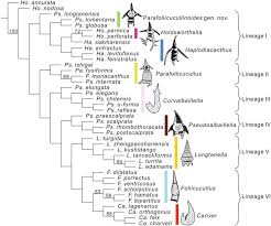 La norma in esame sancisce che le camere approvano i bilanci ed il rendiconto consuntivo presentati dal governo (la cui iniziativa legislativa gli è appunto riservata). New Permian Radiolarians From East Asia And The Quantitative Reconstruction Of Their Evolutionary And Ecological Significances Scientific Reports