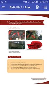 Check spelling or type a new query. Bse Sma Kelas 11 Prakarya Sem2 For Android Apk Download