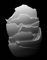 Black And White Objects 56 Ideas Photography Arte Abstract Black And White In 2020 Minimalist Photography Contrast Photography Abstract Photography