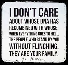 Family Family Quotes Quotable Quotes Inspirational Quotes