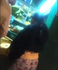 Free Indian Rap Porn - Tropic Tube