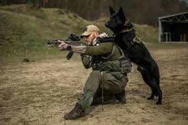 Hold It Steady Soldier I Got Your 6 Military Working Dogs Military Dogs War Dogs