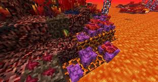 The idea is to avoid getting pricked with them in the first place. Better Nether 1 16 1 15 1 12 Minecraft Mods Mapping And Modding Java Edition Minecraft Forum Minecraft Forum