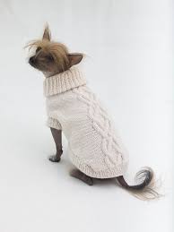 See more ideas about knitting, knitting patterns, knitted. Prep Dog Sweater In Lion Brand Wool Ease L32372 Knitting Patterns Free Dog Knitting Patterns For Dogs Dog Sweater Pattern