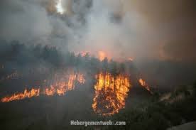 Check spelling or type a new query. Turquia Pide Ayuda Para Combatir Los Incendios Forestales Mientras Continua La Ola De Calor