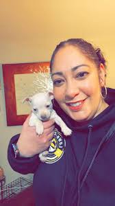 Fresh food diet for Loki's tear stains