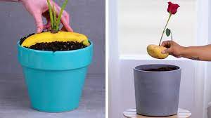 46 responses to 12 insanely clever gardening hacks. 12 Indoor Gardening Hacks That Make You Throw Your Hands Up And Sprout Youtube