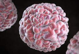 How Long Do Norovirus Germs Live On Household And Office Surfaces Health Essentials From Cleveland Clinic