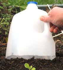 Grow Beans In A Bag Mini Greenhouse Lawn And Garden Garden Tools