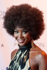 Bantu universally translates to people among many african languages africans wore these tight braids laid along the scalp as a representation of agriculture, order and a civilized way of life. 70s Hairstyles Black Women Hair Styles Andrew
