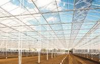 Schartner Farms massive greenhouse project gets cease-and-desist order