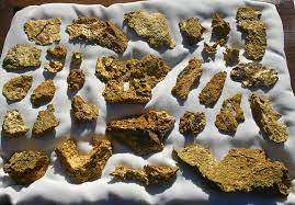 It has a strong frequency that can scan deep on the ground. Arizona Gold Locations Prospecting Panning