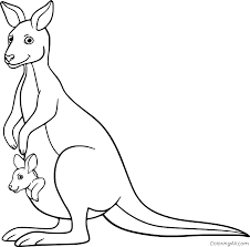 Download Simple Baby Kangaroo In The Pouch Coloring Page Coloringall