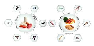 what about protein the science on protein the game changers