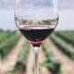 Exploring Flavor: Introduction to Wine and Pairing event image